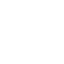 Revico